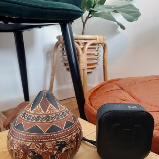 Den har bragt glæde hjemme hos Selina