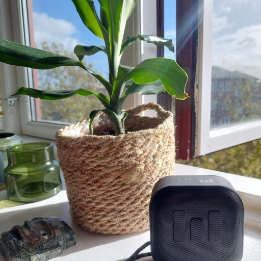 Den har bragt glæde hjemme hos Selina