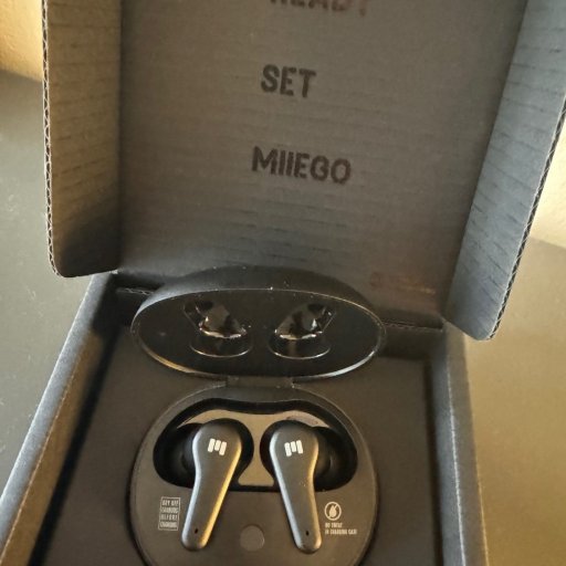 Louises faste følgesvend