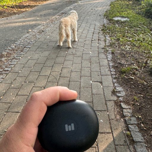 Louises faste følgesvend