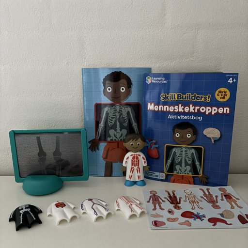 Skill Builders – lær om kroppen