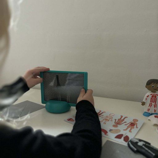 Skill Builders – lær om kroppen