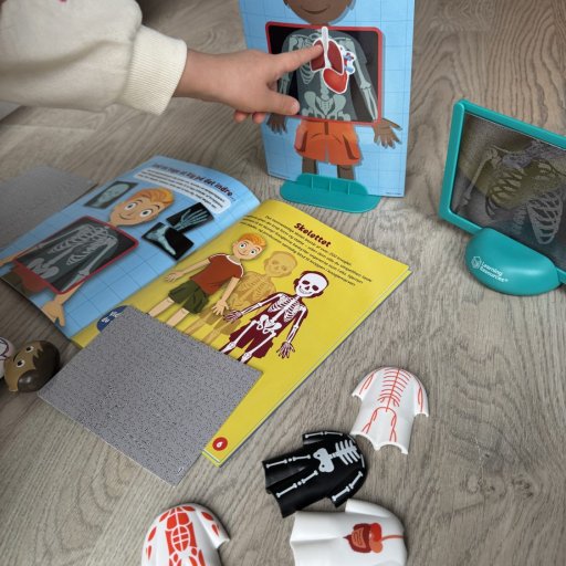 Skill Builders – lær om kroppen